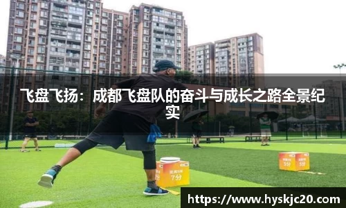 飞盘飞扬：成都飞盘队的奋斗与成长之路全景纪实